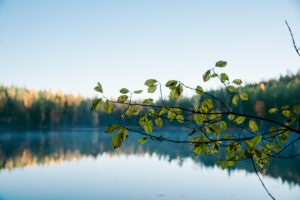 syysmaisema järvellä